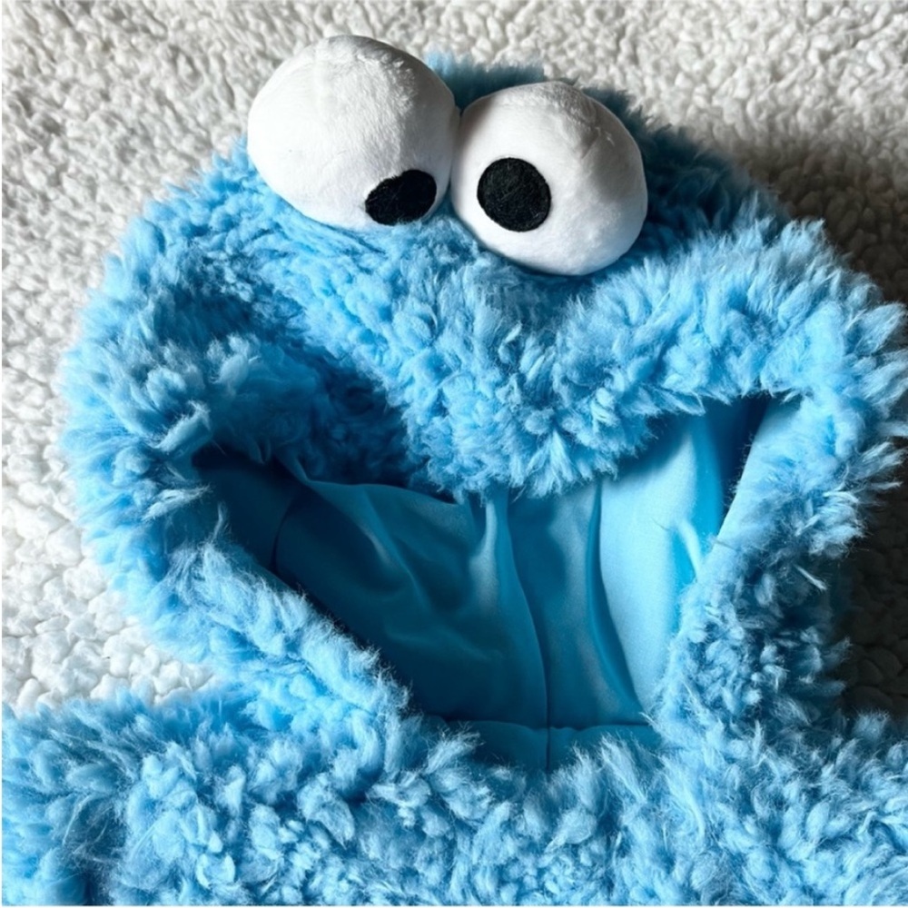 Pottery Barn kids Cookie Monster costume - Picture 7 of 9